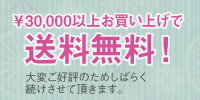 送料無料